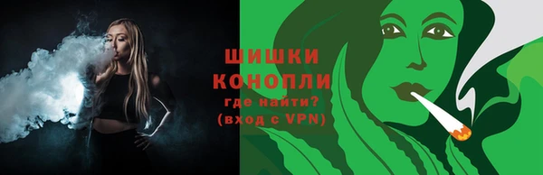гидра Арсеньев