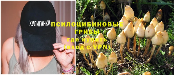 гидра Арсеньев