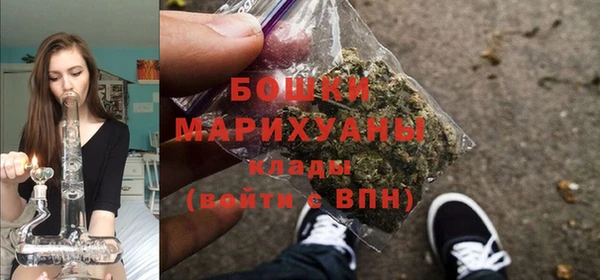 гидра Арсеньев