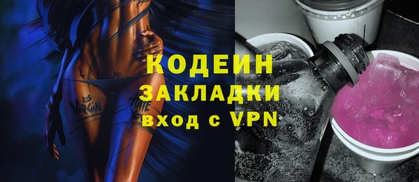 гидра Арсеньев